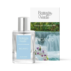 Incanto - eau de toilette precio