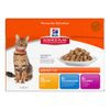 Hill's Science Plan Feline Adult Pack Misto - 24 x 85 g, Varietà di Pollo