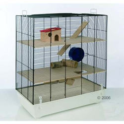 Gabbia Skyline Fun Area Leon - bianco características