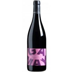 DACITE CÔTES DU FOREZ  2020 - LES VINS DE LA MADONE características