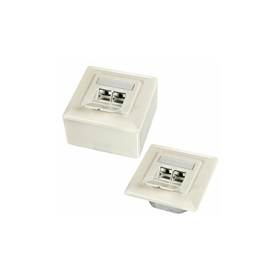 Presa a Muro 2X RJ45 Cat6A con Ingresso Verticale, Bianco - Lindy