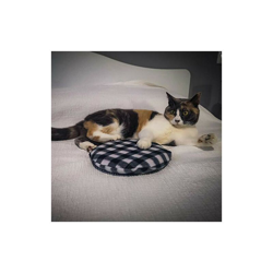 Disco Termico Riscaldante - Croci características