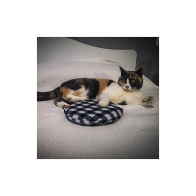 Disco Termico Riscaldante - Croci