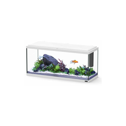 Acquario Explorer Amsterdam Bianco - Aquatlantis características