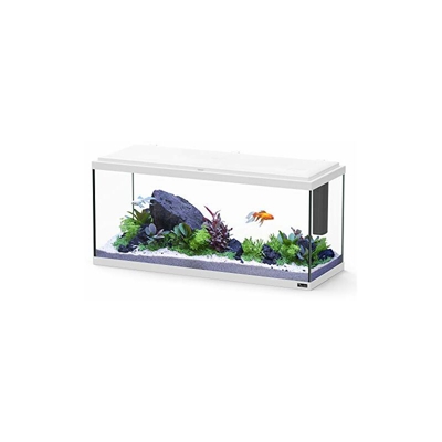 Acquario Explorer Amsterdam Bianco - Aquatlantis