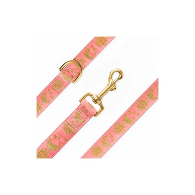 Guinzaglio per Cani e Gatti, Suns Moons Stars Guinzaglio per Cani di Taglia Piccola, Media e Grande, (Large) 1 in. x 4ft - Waaag