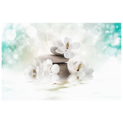 Fotomurale Per Soggiorno, Camera Da Letto N. 2989 - Formato 300x210 Cm precio