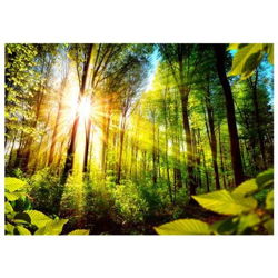 Fotomurale Per Soggiorno, Camera Da Letto N. 9826 - Formato 300x210 Cm características