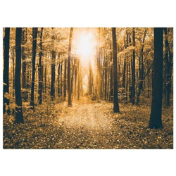 Fotomurale Per Soggiorno, Camera Da Letto N. 9931 - Formato 300x210 Cm características