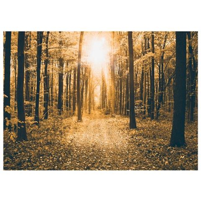 Fotomurale Per Soggiorno, Camera Da Letto N. 9931 - Formato 300x210 Cm