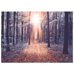 Fotomurale Per Soggiorno, Camera Da Letto N. 9930 - Formato 300x210 Cm en oferta