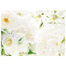 Fotomurale Per Soggiorno, Camera Da Letto N. 2994 - Formato 300x210 Cm precio