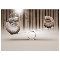 Fotomurale Per Soggiorno, Camera Da Letto N. 3150 - Formato 300x210 Cm características