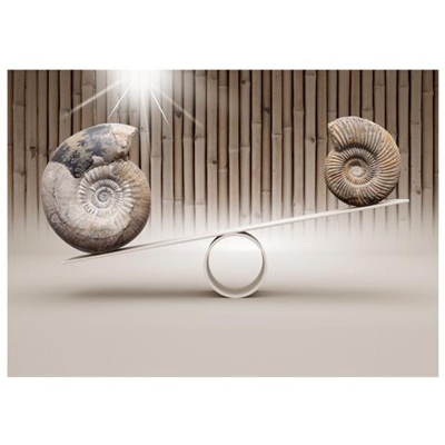 Fotomurale Per Soggiorno, Camera Da Letto N. 3150 - Formato 300x210 Cm