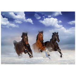 Fotomurale Per Soggiorno, Camera Da Letto N. 10461 - Formato 300x210 Cm precio