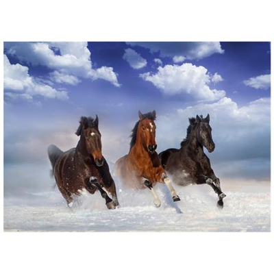 Fotomurale Per Soggiorno, Camera Da Letto N. 10461 - Formato 300x210 Cm