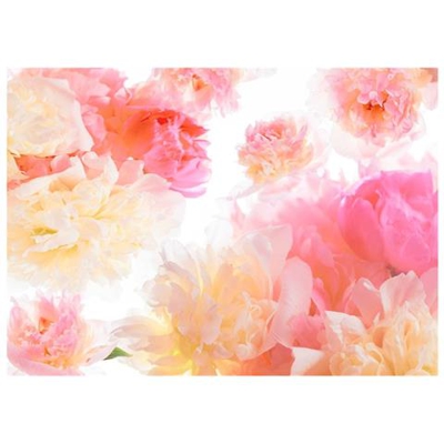 Fotomurale Per Soggiorno, Camera Da Letto N. 349 - Formato 300x210 Cm