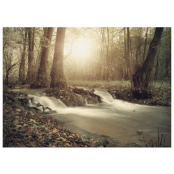 Fotomurale Per Soggiorno, Camera Da Letto N. 9938 - Formato 300x210 Cm en oferta