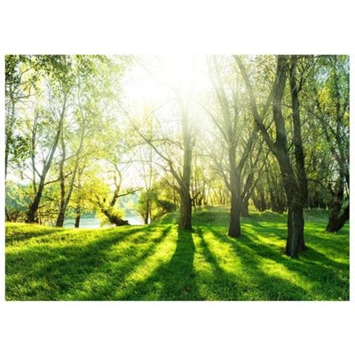 Fotomurale Per Soggiorno, Camera Da Letto N. 10395 - Formato 300x210 Cm