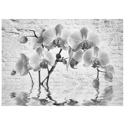 Fotomurale Per Soggiorno, Camera Da Letto N. 9724 - Formato 300x210 Cm