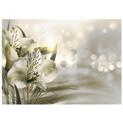 Fotomurale Per Soggiorno, Camera Da Letto N. 9768 - Formato 300x210 Cm características