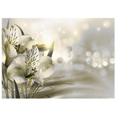 Fotomurale Per Soggiorno, Camera Da Letto N. 9768 - Formato 300x210 Cm