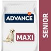 Advance Maxi Senior - 14 kg