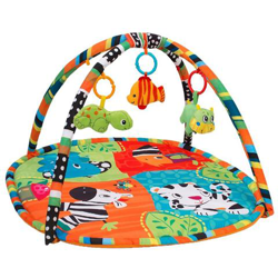 Vitamina G - Palestrina con Tappeto características