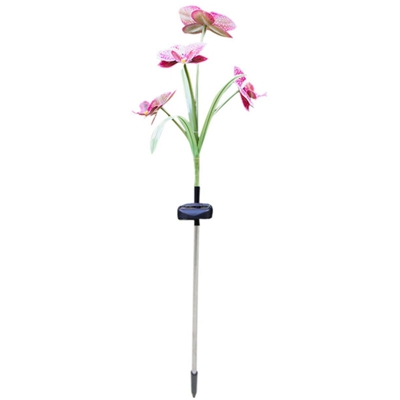 Spot viola + colore led wj-dc4 farfalla solare orchidea 4 LED colore luce da giardino