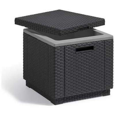 Contenitore Raffreddamento Con Cubi Ghiaccio Grafite 213828