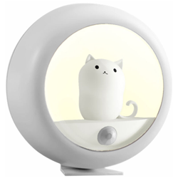 Lampada da parete per armadio USB con luce notturna a induzione per il corpo umano creativo en oferta