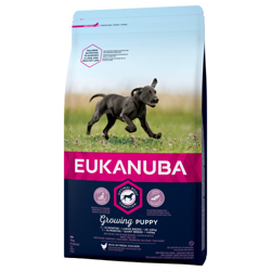 Eukanuba Growing Puppy Large Breed Pollo - 15 kg precio