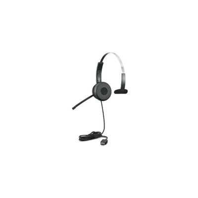 100 Mono Cuffia Padiglione auricolare USB tipo A Nero - Lenovo