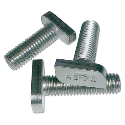 Energy Duegi - Bullone testa a martello in inox M10 x 30 mm per profilo di montaggio fotovoltaico