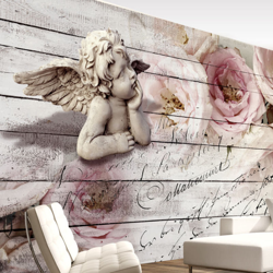 Fotomurale Angel and Calm cm 250x175 - Artgeist precio
