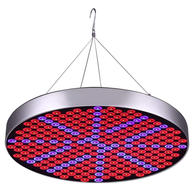 250 LED 50W Grow Lights Grow Light da -20 a 55 gradi 55-95 RH