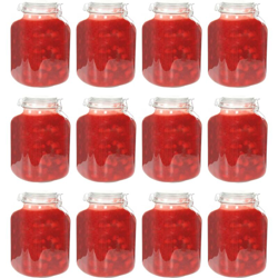 vidaXL Barattoli per Marmellata in Vetro con Chiusura Ermetica 12pz 5L precio