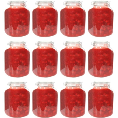 vidaXL Barattoli per Marmellata in Vetro con Chiusura Ermetica 12pz 5L