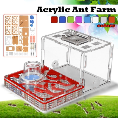 Grande 8 colori disponibili scatola di alimentazione fai da te formica nido formicarium fattoria regalo giocattolo acrilico (arancione)
