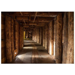 Fotomurale Per Soggiorno, Camera Da Letto N. 405 - Formato 300x210 Cm características