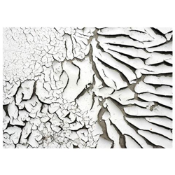 Fotomurale Per Soggiorno, Camera Da Letto N. 399 - Formato 300x210 Cm características