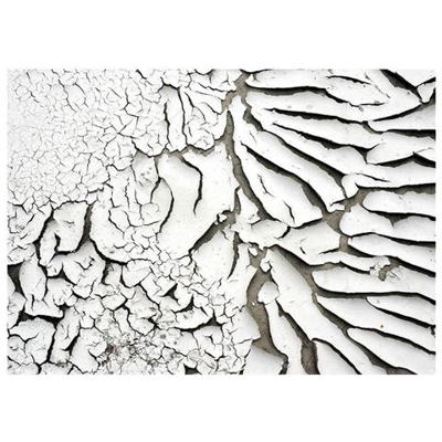 Fotomurale Per Soggiorno, Camera Da Letto N. 399 - Formato 300x210 Cm