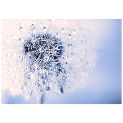 Fotomurale Per Soggiorno, Camera Da Letto N. 2996 - Formato 300x210 Cm precio