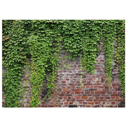 Fotomurale Per Soggiorno, Camera Da Letto N. 9699 - Formato 300x210 Cm precio