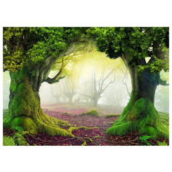 Fotomurale Per Soggiorno, Camera Da Letto N. 77 - Formato 300x210 Cm características