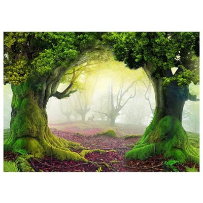 Fotomurale Per Soggiorno, Camera Da Letto N. 77 - Formato 300x210 Cm