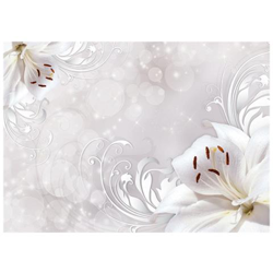 Fotomurale Per Soggiorno, Camera Da Letto N. 3022 - Formato 300x210 Cm en oferta