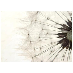 Fotomurale Per Soggiorno, Camera Da Letto N. 83 - Formato 300x210 Cm en oferta