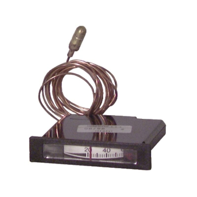 Termometro rettangolare orizzontale 69x14 - DIFF per Bosch : 87168011350
