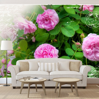 Fotomurale Giardino estivo cm 250x175 - Artgeist